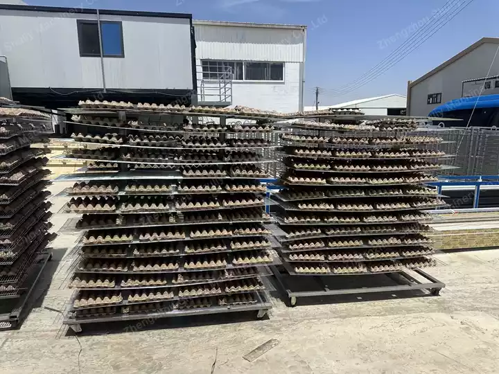 Egg tray production line