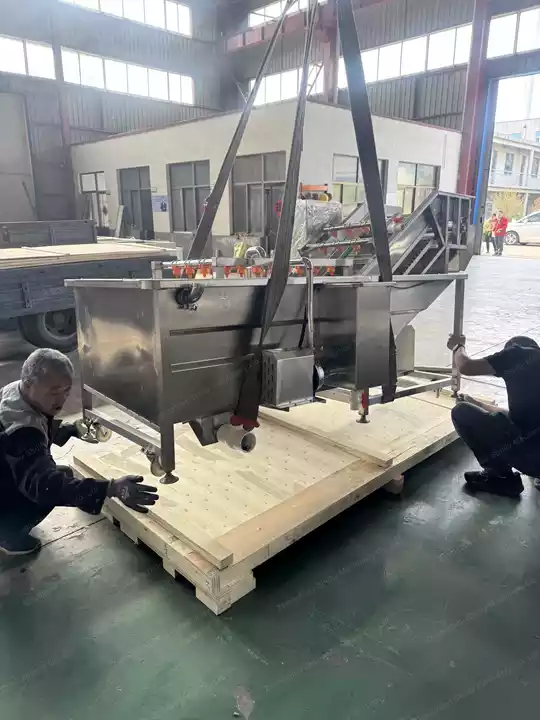 Lettuce washing machine