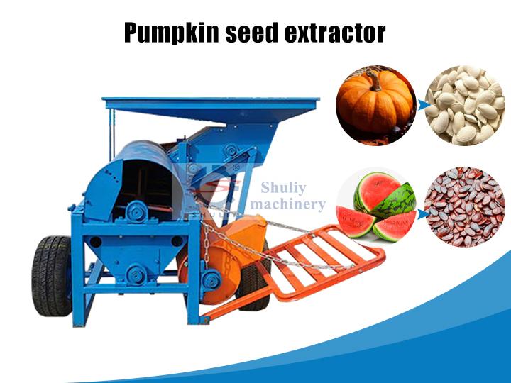 Pumpkin seed extractor machine